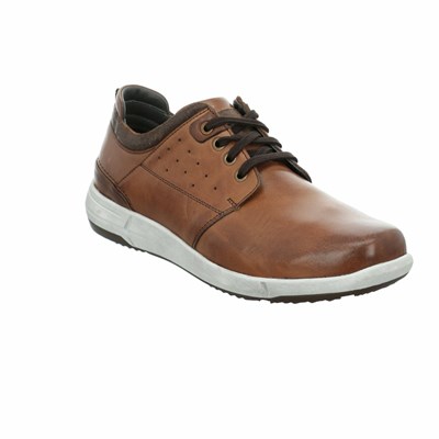 Brown Josef Seibel Enrico 13 Men's Sneakers | GMX812593